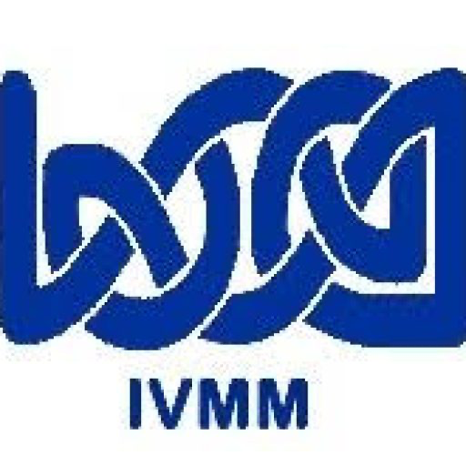 IVMM